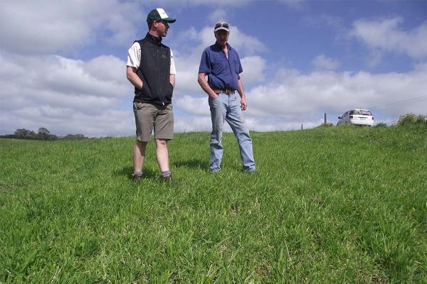 Shaun Mahony discussing an Exceltas and Savvy pasture South of Colac VIC